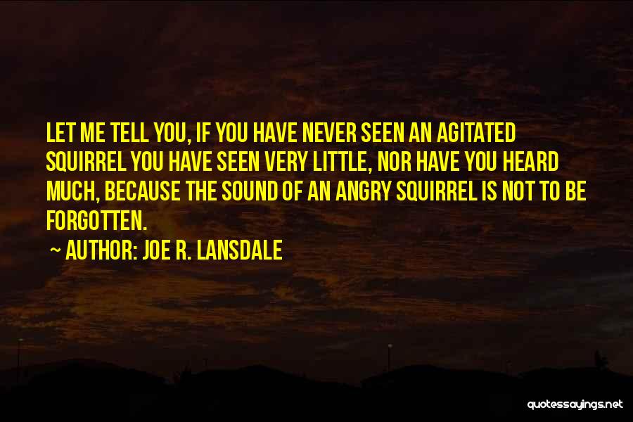 Joe R. Lansdale Quotes: Let Me Tell You, If You Have Never Seen An Agitated Squirrel You Have Seen Very Little, Nor Have You