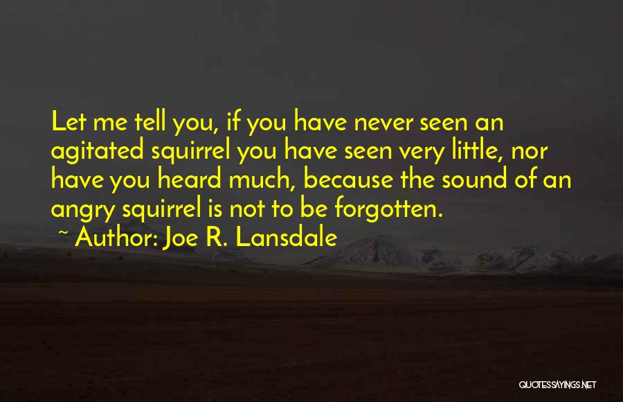 Joe R. Lansdale Quotes: Let Me Tell You, If You Have Never Seen An Agitated Squirrel You Have Seen Very Little, Nor Have You