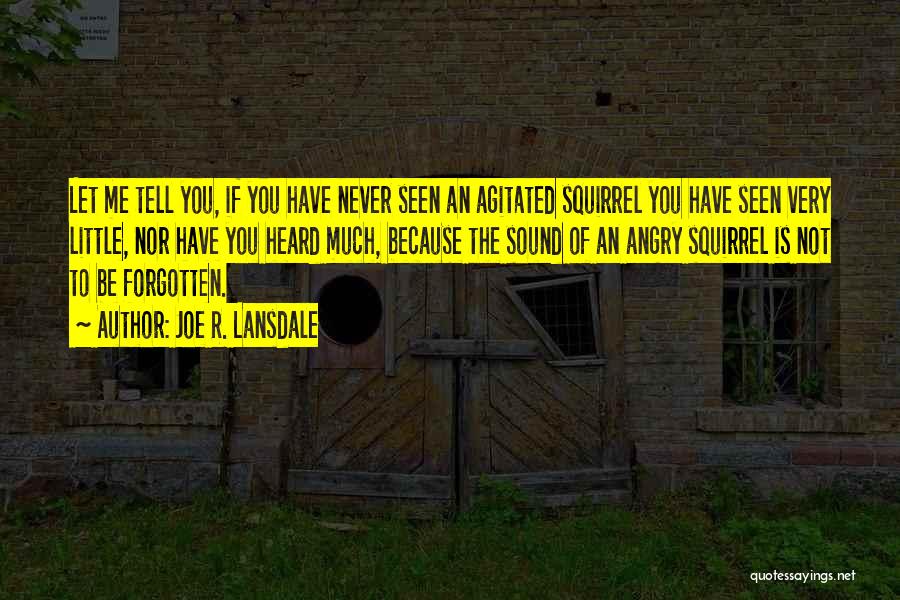 Joe R. Lansdale Quotes: Let Me Tell You, If You Have Never Seen An Agitated Squirrel You Have Seen Very Little, Nor Have You