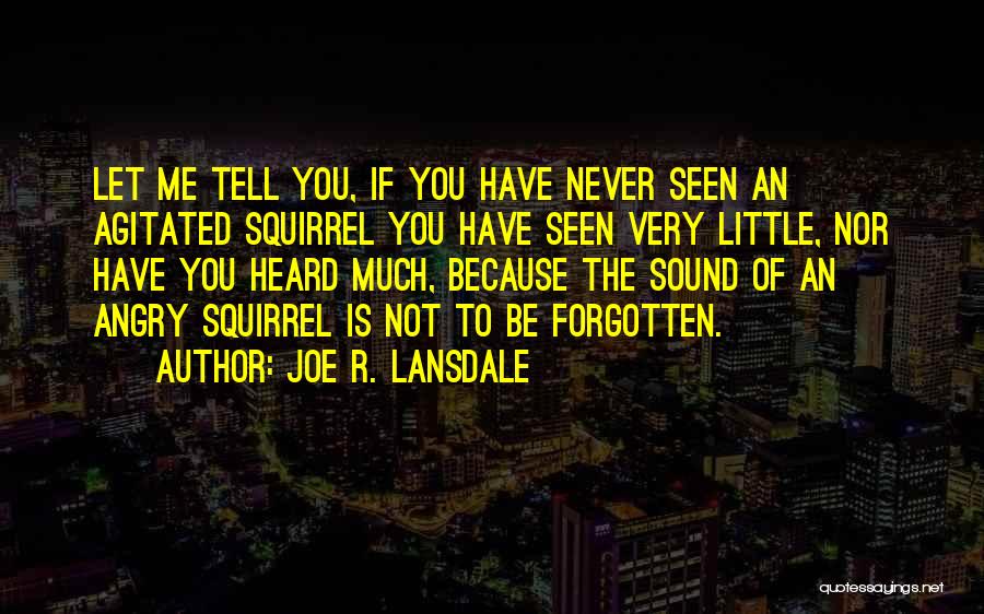 Joe R. Lansdale Quotes: Let Me Tell You, If You Have Never Seen An Agitated Squirrel You Have Seen Very Little, Nor Have You