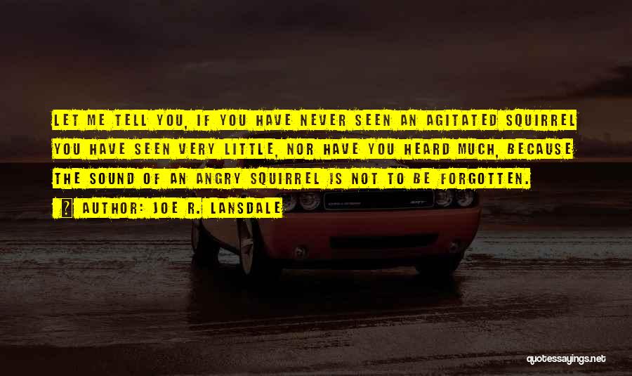 Joe R. Lansdale Quotes: Let Me Tell You, If You Have Never Seen An Agitated Squirrel You Have Seen Very Little, Nor Have You