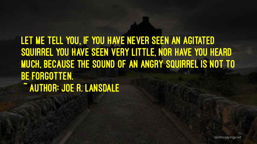 Joe R. Lansdale Quotes: Let Me Tell You, If You Have Never Seen An Agitated Squirrel You Have Seen Very Little, Nor Have You