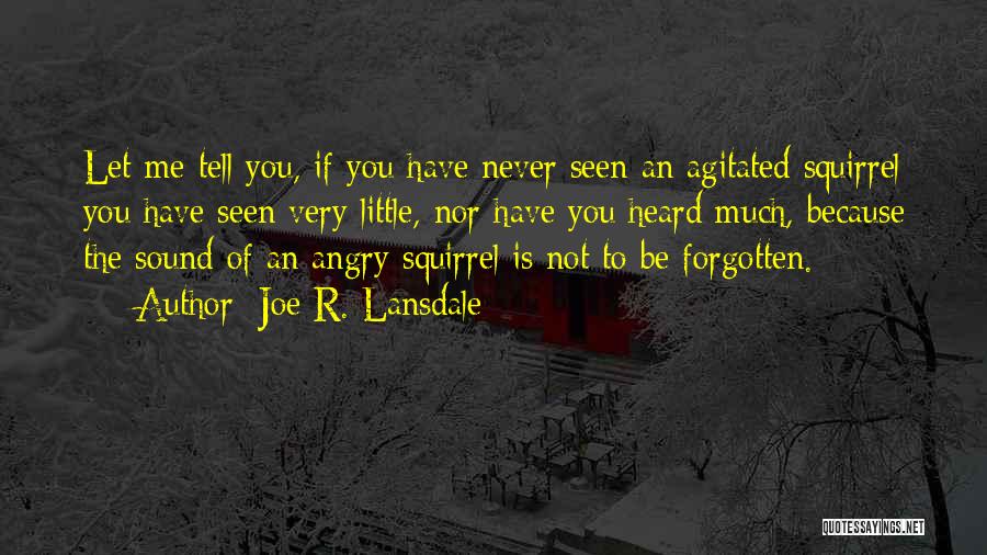 Joe R. Lansdale Quotes: Let Me Tell You, If You Have Never Seen An Agitated Squirrel You Have Seen Very Little, Nor Have You