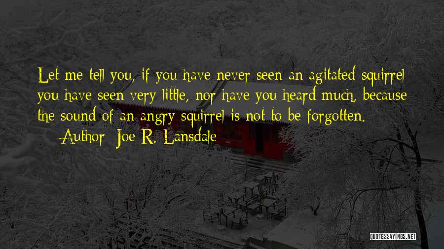 Joe R. Lansdale Quotes: Let Me Tell You, If You Have Never Seen An Agitated Squirrel You Have Seen Very Little, Nor Have You