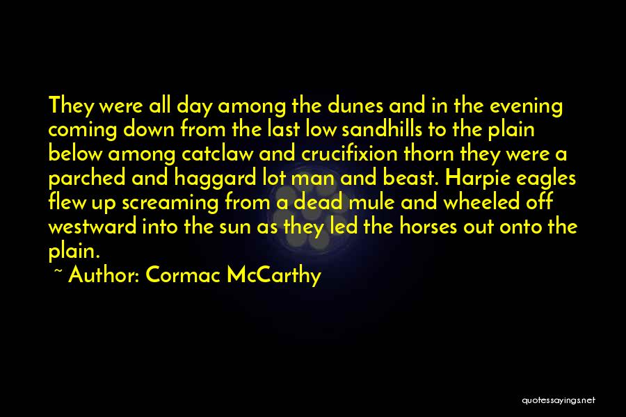 Cormac McCarthy Quotes: They Were All Day Among The Dunes And In The Evening Coming Down From The Last Low Sandhills To The