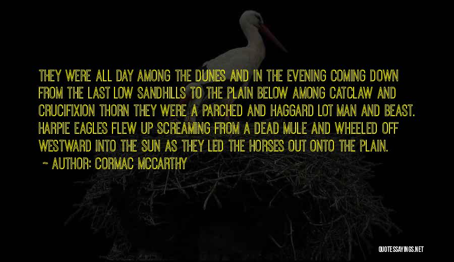 Cormac McCarthy Quotes: They Were All Day Among The Dunes And In The Evening Coming Down From The Last Low Sandhills To The
