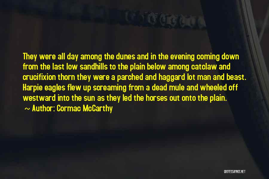 Cormac McCarthy Quotes: They Were All Day Among The Dunes And In The Evening Coming Down From The Last Low Sandhills To The