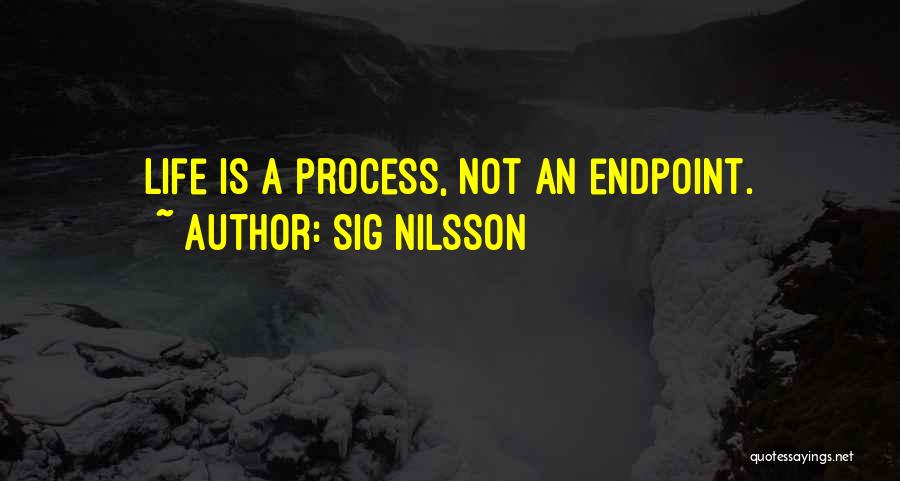 Sig Nilsson Quotes: Life Is A Process, Not An Endpoint.