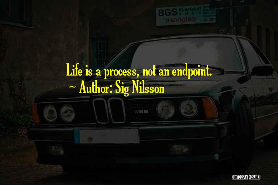 Sig Nilsson Quotes: Life Is A Process, Not An Endpoint.