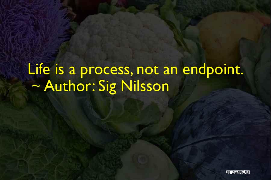 Sig Nilsson Quotes: Life Is A Process, Not An Endpoint.