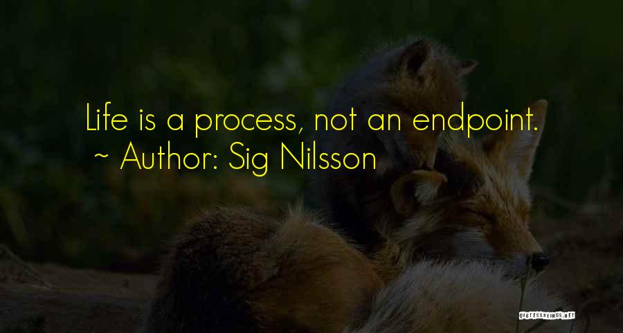 Sig Nilsson Quotes: Life Is A Process, Not An Endpoint.