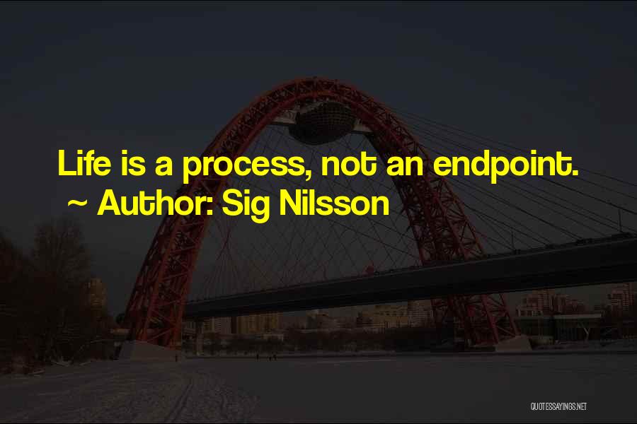 Sig Nilsson Quotes: Life Is A Process, Not An Endpoint.