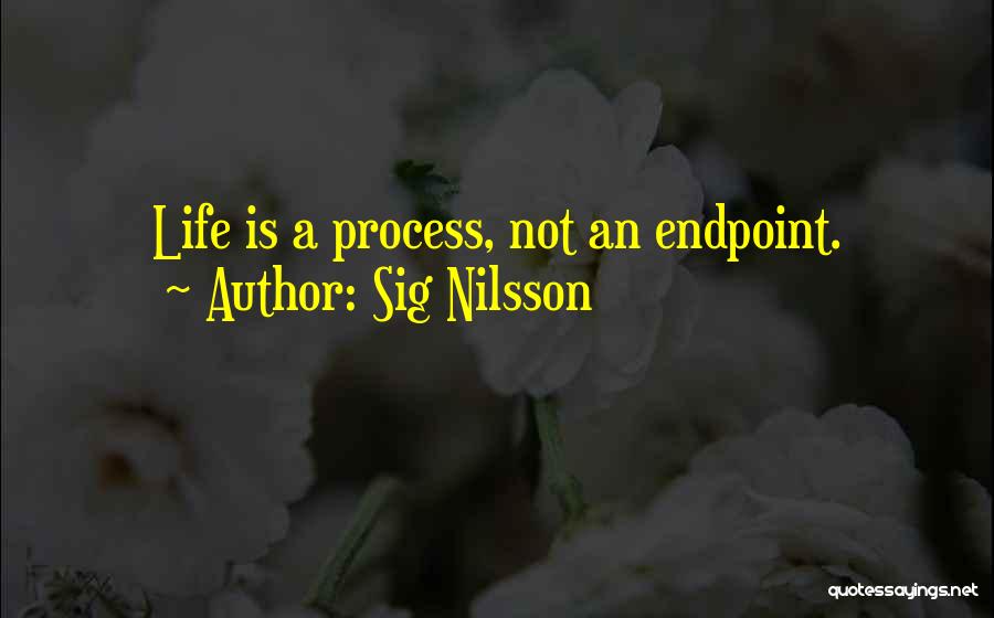 Sig Nilsson Quotes: Life Is A Process, Not An Endpoint.