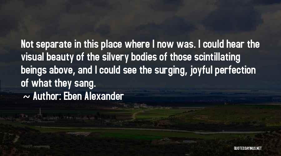 Eben Alexander Quotes: Not Separate In This Place Where I Now Was. I Could Hear The Visual Beauty Of The Silvery Bodies Of