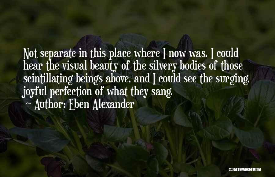 Eben Alexander Quotes: Not Separate In This Place Where I Now Was. I Could Hear The Visual Beauty Of The Silvery Bodies Of