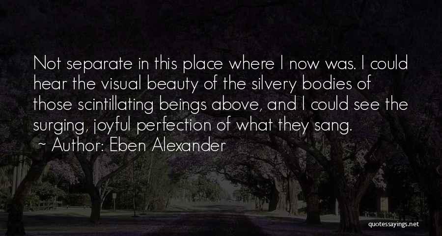 Eben Alexander Quotes: Not Separate In This Place Where I Now Was. I Could Hear The Visual Beauty Of The Silvery Bodies Of