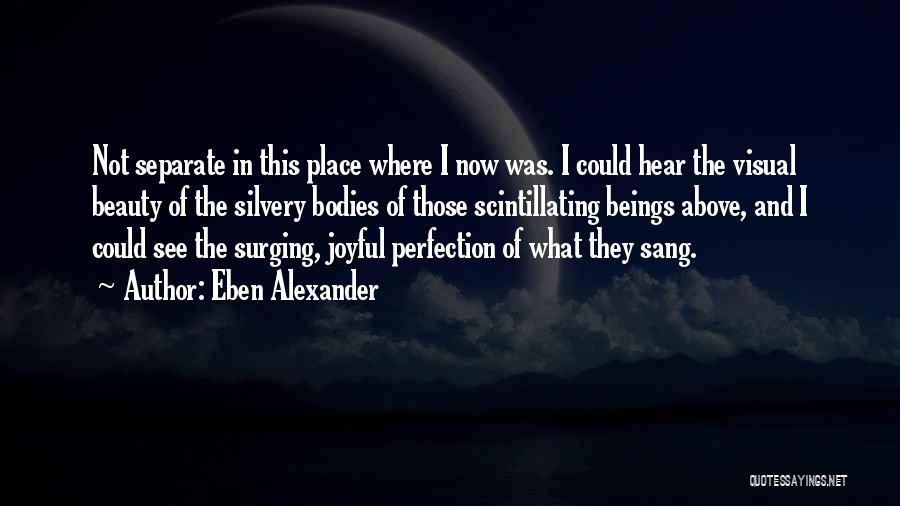 Eben Alexander Quotes: Not Separate In This Place Where I Now Was. I Could Hear The Visual Beauty Of The Silvery Bodies Of