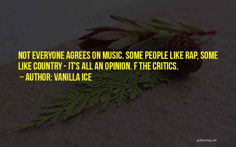 Vanilla Ice Quotes: Not Everyone Agrees On Music. Some People Like Rap, Some Like Country - It's All An Opinion. F The Critics.