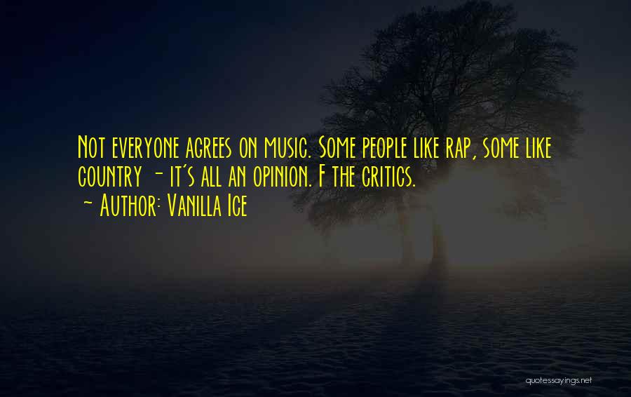 Vanilla Ice Quotes: Not Everyone Agrees On Music. Some People Like Rap, Some Like Country - It's All An Opinion. F The Critics.