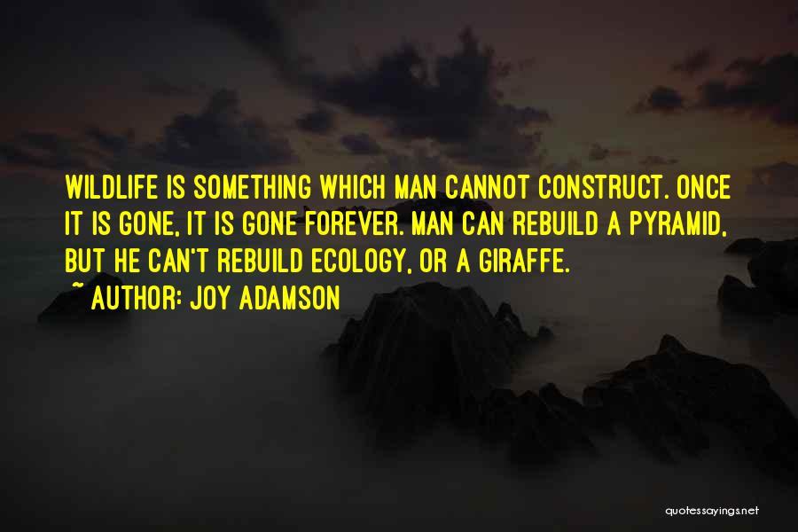 Joy Adamson Quotes: Wildlife Is Something Which Man Cannot Construct. Once It Is Gone, It Is Gone Forever. Man Can Rebuild A Pyramid,