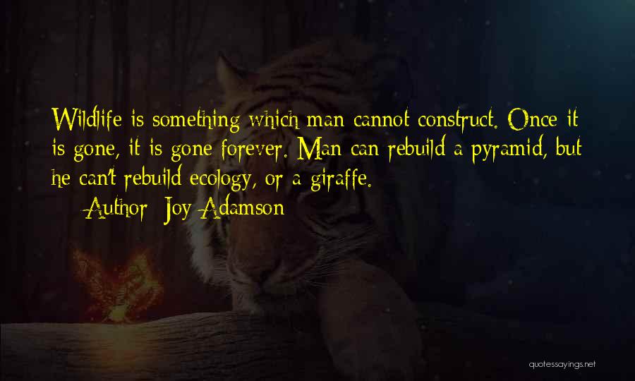 Joy Adamson Quotes: Wildlife Is Something Which Man Cannot Construct. Once It Is Gone, It Is Gone Forever. Man Can Rebuild A Pyramid,