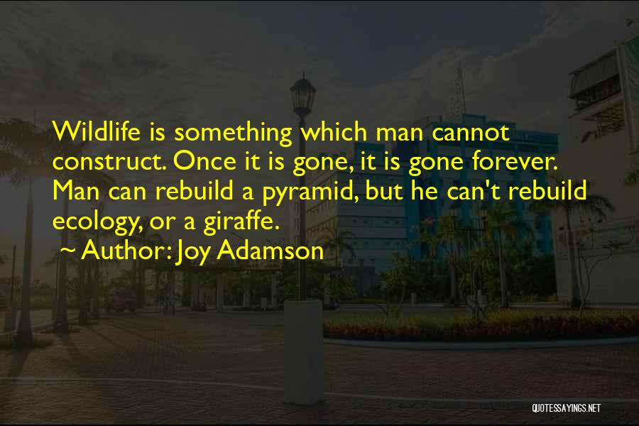 Joy Adamson Quotes: Wildlife Is Something Which Man Cannot Construct. Once It Is Gone, It Is Gone Forever. Man Can Rebuild A Pyramid,