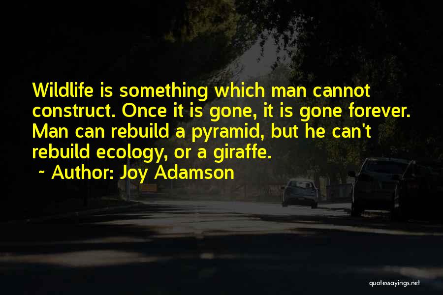 Joy Adamson Quotes: Wildlife Is Something Which Man Cannot Construct. Once It Is Gone, It Is Gone Forever. Man Can Rebuild A Pyramid,