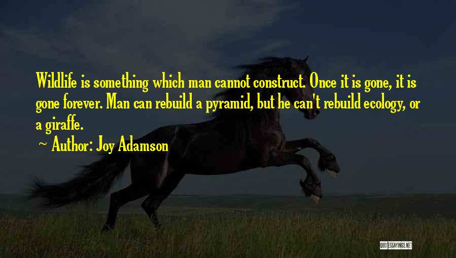 Joy Adamson Quotes: Wildlife Is Something Which Man Cannot Construct. Once It Is Gone, It Is Gone Forever. Man Can Rebuild A Pyramid,