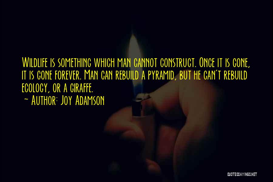 Joy Adamson Quotes: Wildlife Is Something Which Man Cannot Construct. Once It Is Gone, It Is Gone Forever. Man Can Rebuild A Pyramid,