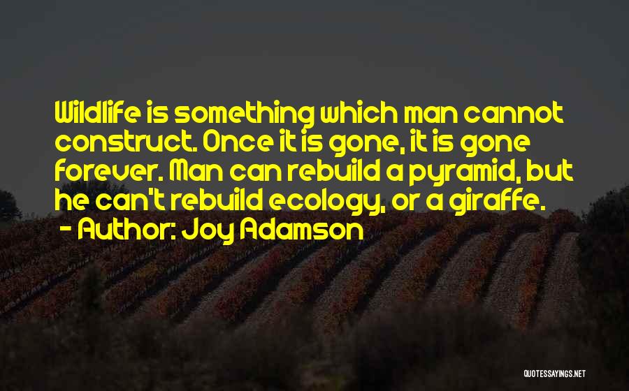 Joy Adamson Quotes: Wildlife Is Something Which Man Cannot Construct. Once It Is Gone, It Is Gone Forever. Man Can Rebuild A Pyramid,