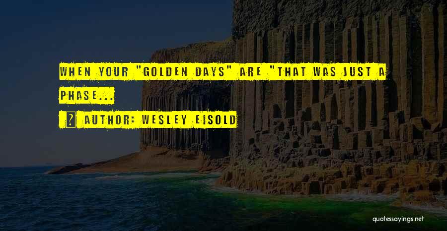 Wesley Eisold Quotes: When Your Golden Days Are That Was Just A Phase...