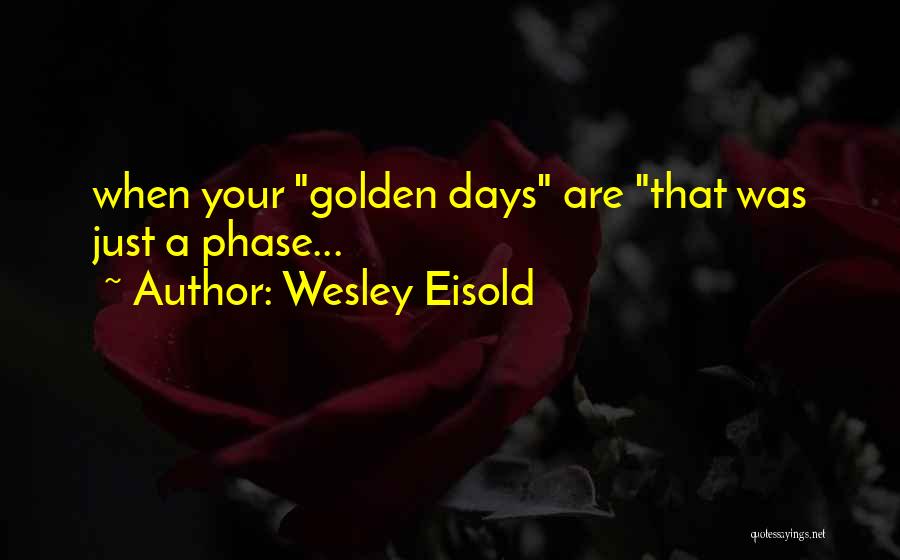 Wesley Eisold Quotes: When Your Golden Days Are That Was Just A Phase...