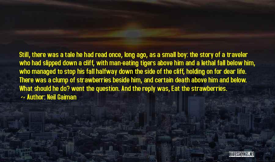 Neil Gaiman Quotes: Still, There Was A Tale He Had Read Once, Long Ago, As A Small Boy: The Story Of A Traveler