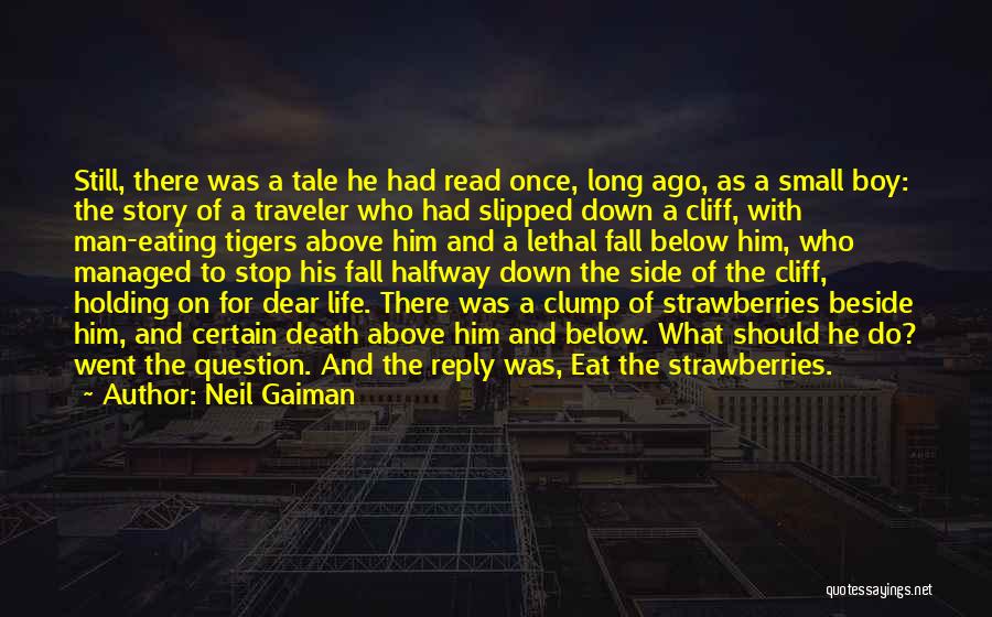 Neil Gaiman Quotes: Still, There Was A Tale He Had Read Once, Long Ago, As A Small Boy: The Story Of A Traveler