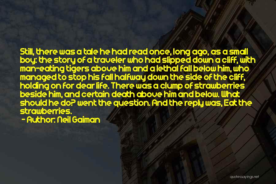 Neil Gaiman Quotes: Still, There Was A Tale He Had Read Once, Long Ago, As A Small Boy: The Story Of A Traveler