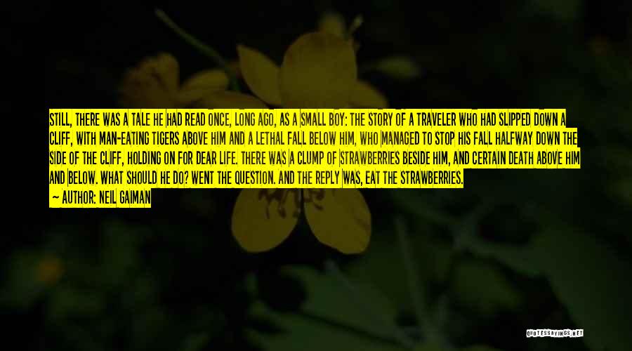 Neil Gaiman Quotes: Still, There Was A Tale He Had Read Once, Long Ago, As A Small Boy: The Story Of A Traveler