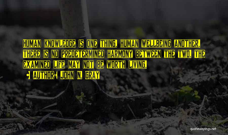 John N. Gray Quotes: Human Knowledge Is One Thing, Human Wellbeing Another. There Is No Predetermined Harmony Between The Two. The Examined Life May