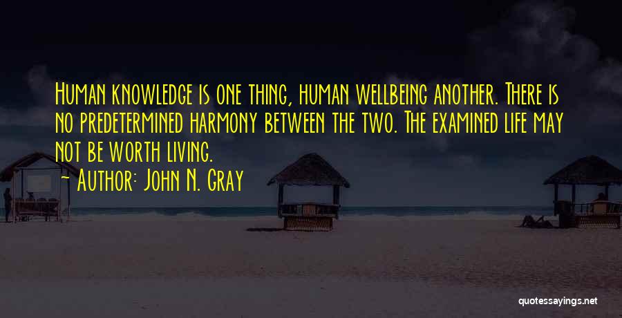 John N. Gray Quotes: Human Knowledge Is One Thing, Human Wellbeing Another. There Is No Predetermined Harmony Between The Two. The Examined Life May