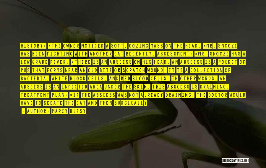 Marcy Blesy Quotes: History: *the Owner Noticed A Soft, Oozing Mass On The Head. *mr. Snooze Has Been Fighting With Another Cat Recently.