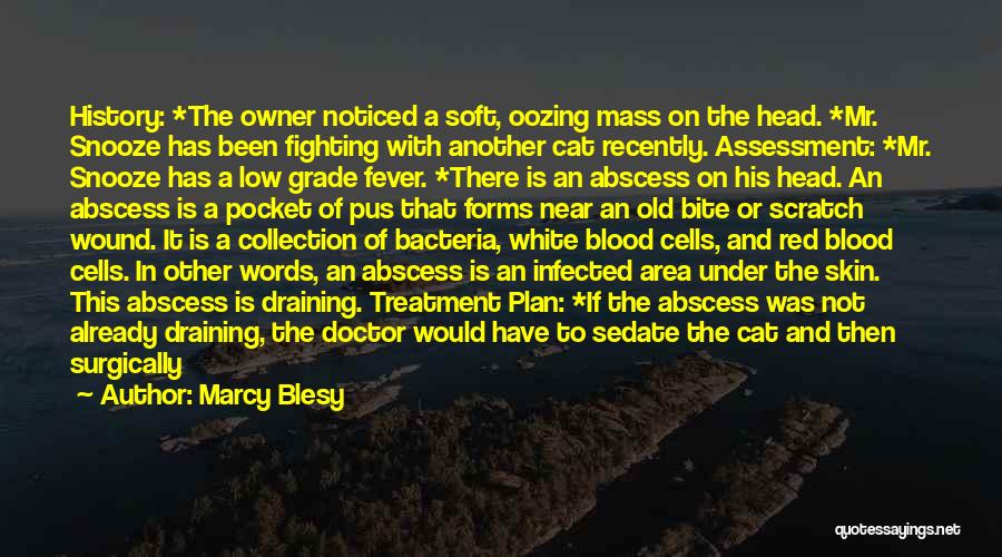 Marcy Blesy Quotes: History: *the Owner Noticed A Soft, Oozing Mass On The Head. *mr. Snooze Has Been Fighting With Another Cat Recently.