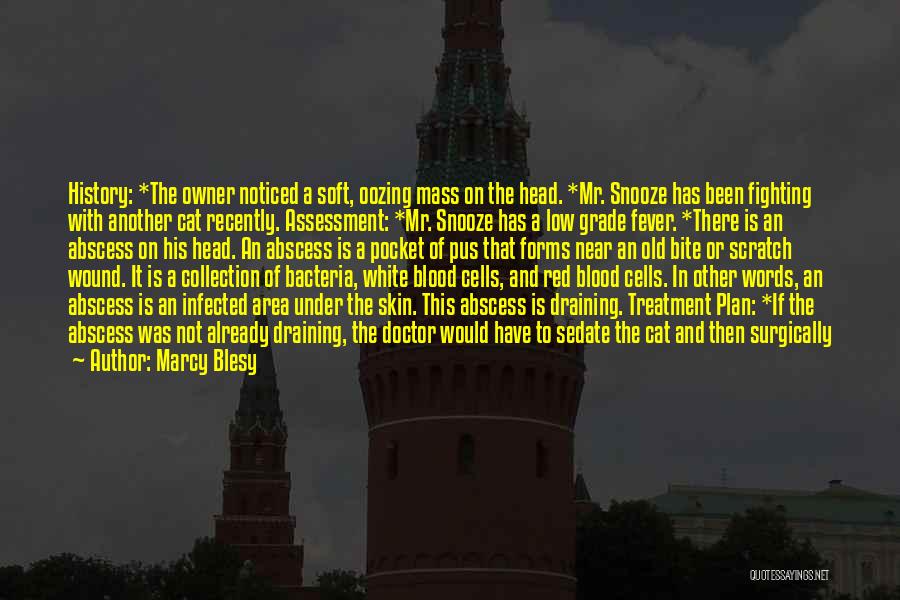 Marcy Blesy Quotes: History: *the Owner Noticed A Soft, Oozing Mass On The Head. *mr. Snooze Has Been Fighting With Another Cat Recently.