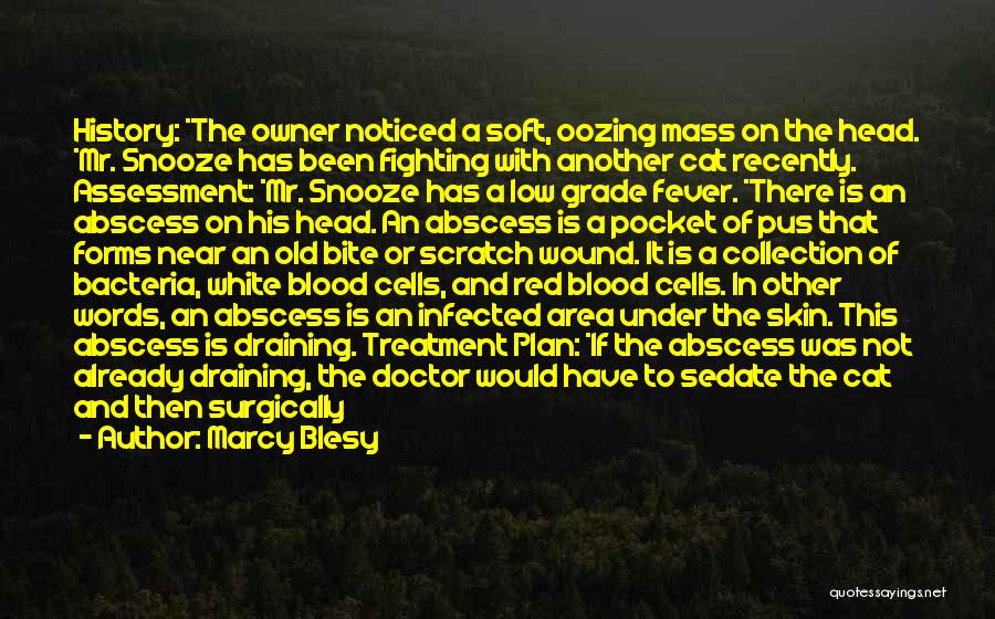 Marcy Blesy Quotes: History: *the Owner Noticed A Soft, Oozing Mass On The Head. *mr. Snooze Has Been Fighting With Another Cat Recently.