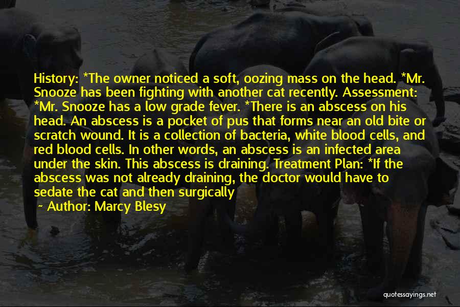 Marcy Blesy Quotes: History: *the Owner Noticed A Soft, Oozing Mass On The Head. *mr. Snooze Has Been Fighting With Another Cat Recently.