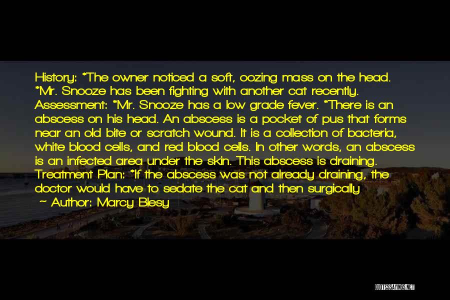 Marcy Blesy Quotes: History: *the Owner Noticed A Soft, Oozing Mass On The Head. *mr. Snooze Has Been Fighting With Another Cat Recently.