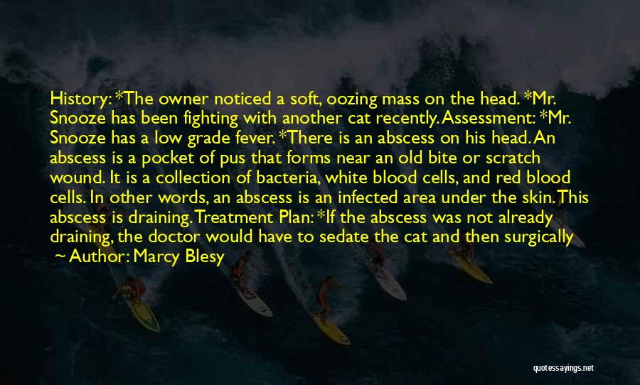 Marcy Blesy Quotes: History: *the Owner Noticed A Soft, Oozing Mass On The Head. *mr. Snooze Has Been Fighting With Another Cat Recently.
