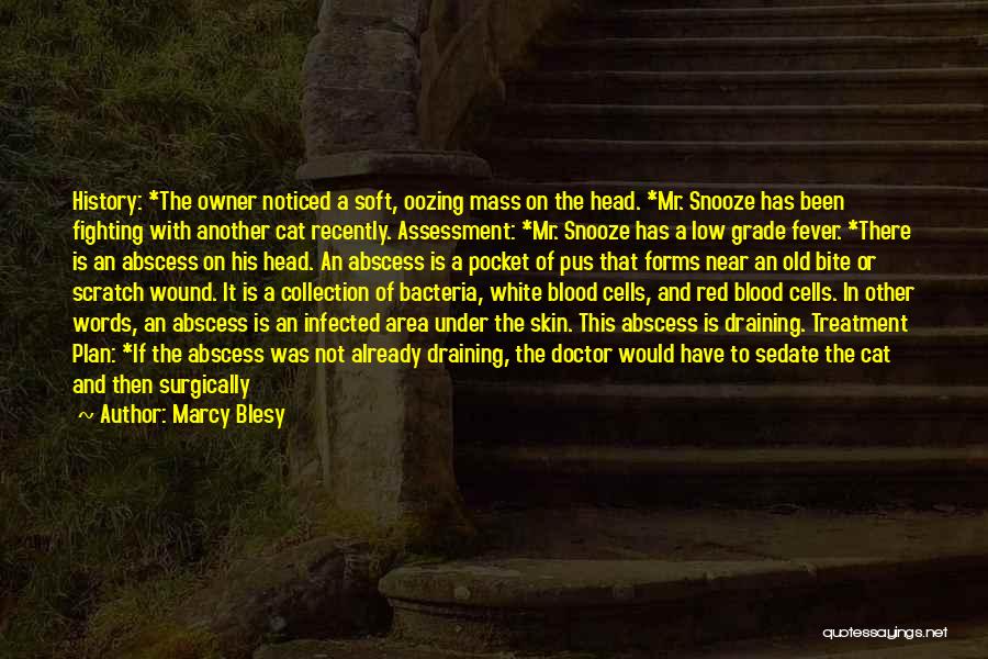 Marcy Blesy Quotes: History: *the Owner Noticed A Soft, Oozing Mass On The Head. *mr. Snooze Has Been Fighting With Another Cat Recently.