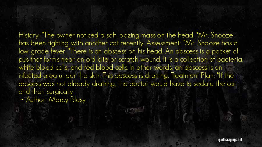 Marcy Blesy Quotes: History: *the Owner Noticed A Soft, Oozing Mass On The Head. *mr. Snooze Has Been Fighting With Another Cat Recently.