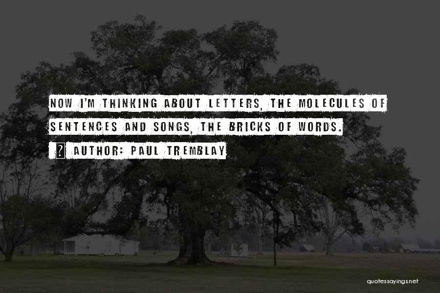 Paul Tremblay Quotes: Now I'm Thinking About Letters, The Molecules Of Sentences And Songs, The Bricks Of Words.