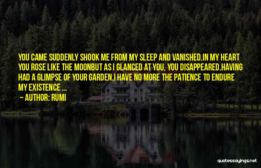 Rumi Quotes: You Came Suddenly Shook Me From My Sleep And Vanished.in My Heart You Rose Like The Moonbut As I Glanced