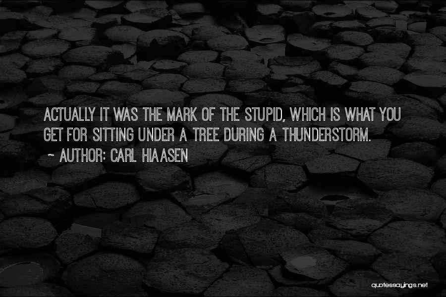 Carl Hiaasen Quotes: Actually It Was The Mark Of The Stupid, Which Is What You Get For Sitting Under A Tree During A